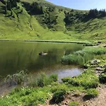 Schantl Апартаменты Шоппернау