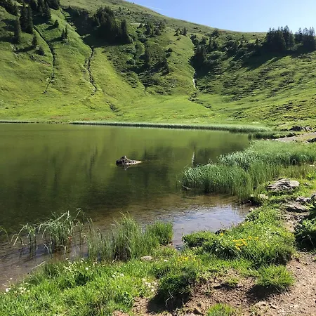 Schantl Appartement Schoppernau